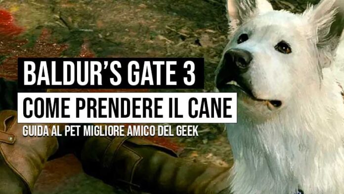 Guida Baldur's Gate 3 come prendere il cane
